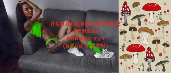 mdma Бородино