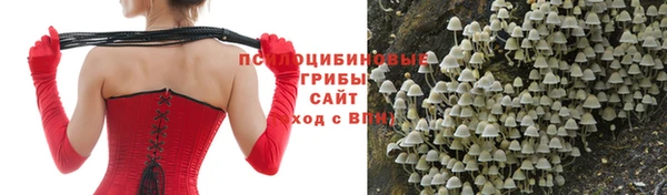 дживик Бронницы