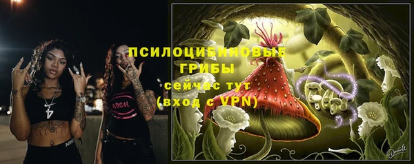 крисы Верхнеуральск